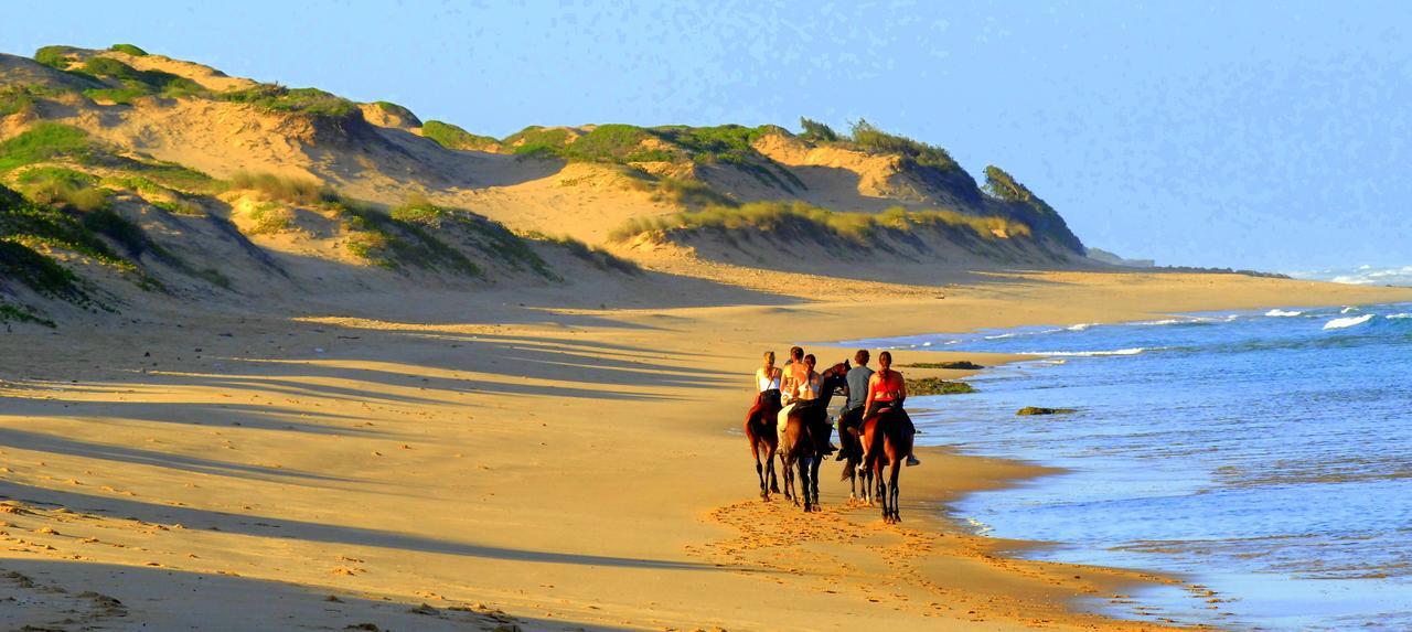 Pariango Beach Motel Tofo Ngoại thất bức ảnh